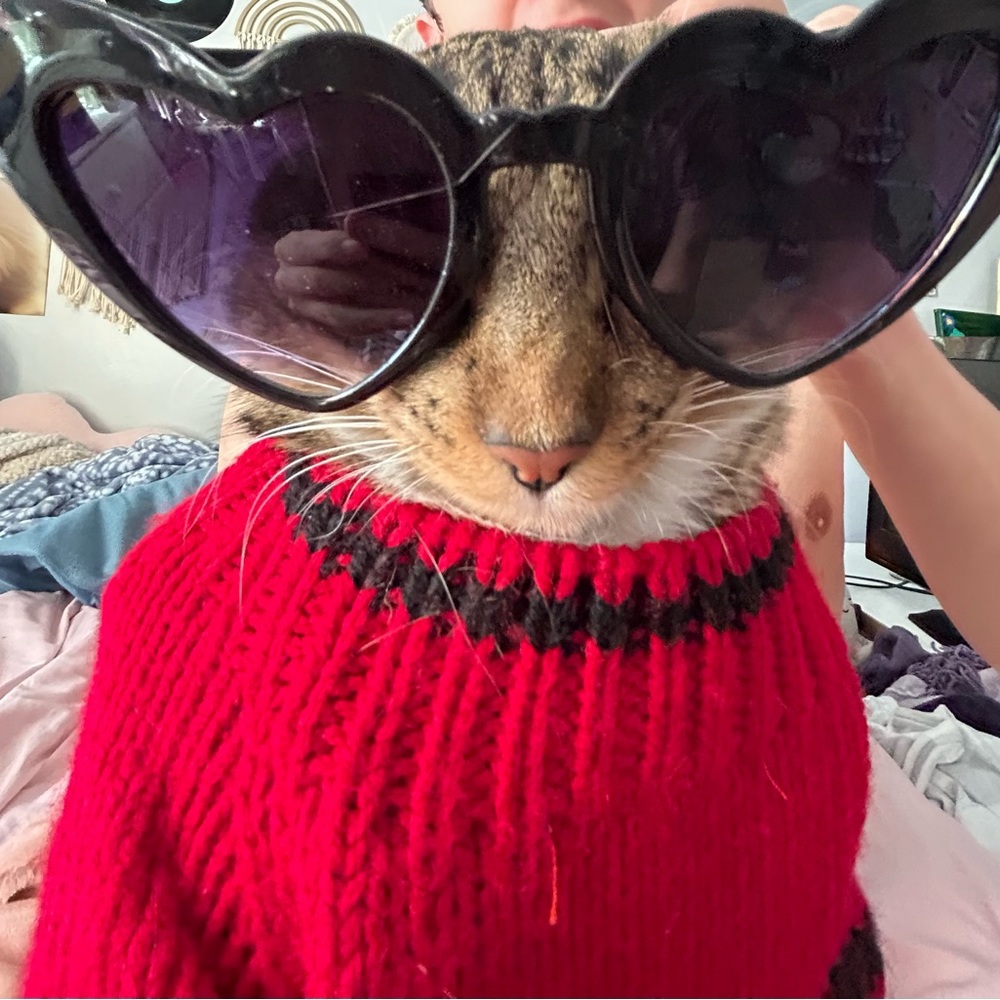 Meet your Posher, Karmin